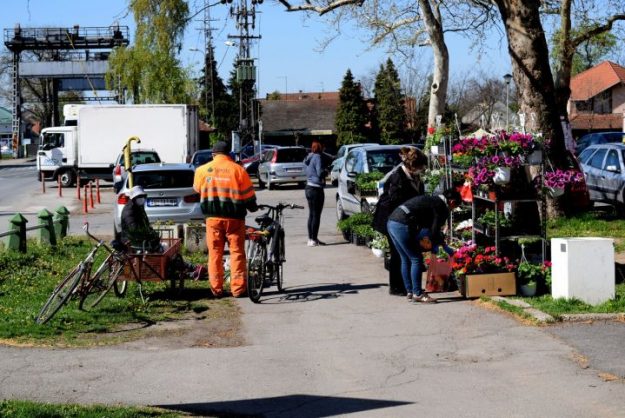 pijaca_210420