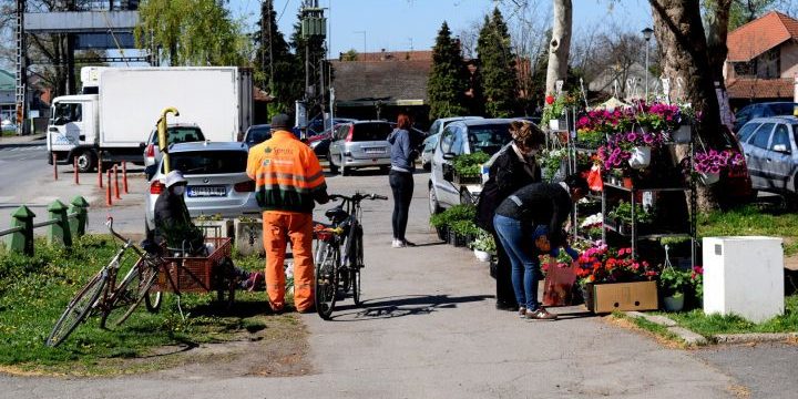 pijaca_210420