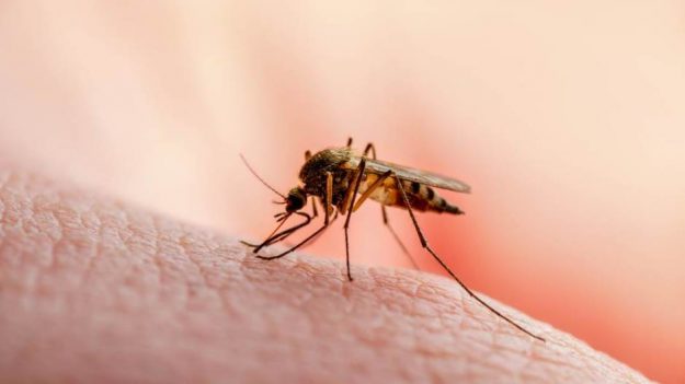 shutterstock-1483138139-309065